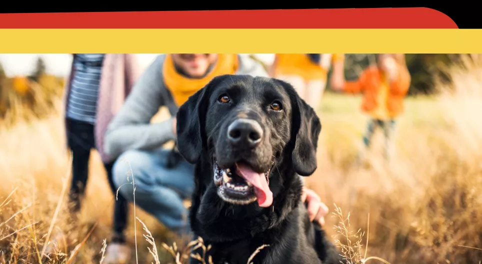 Hast du ein Haustier?