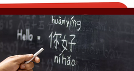 Distinguishing Chinese Vowels and Consonants