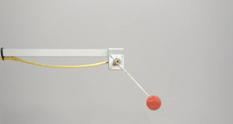 Relationship between circular motion and simple harmonic motion (basic)