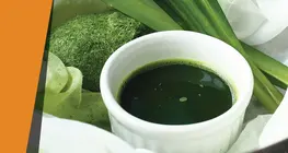 Колір листя