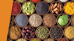 Тисячі відтінків смаку на язиці