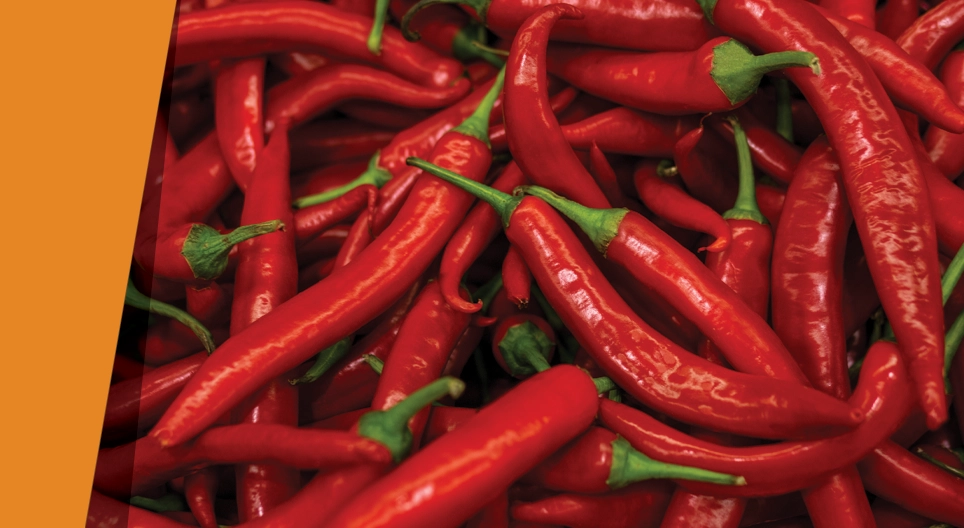 Подібне радіє подібному