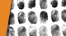 Хто це зробив?