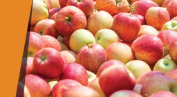 Яблуко, яке пахне мигдалем