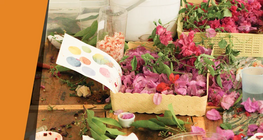 Малювання рослинами