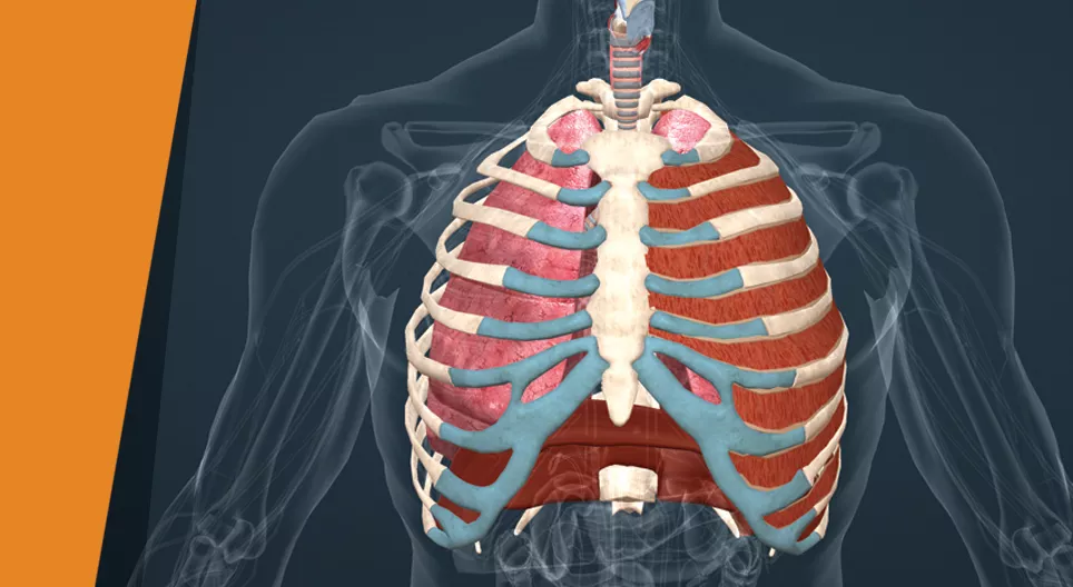 Глибоко вдихніть