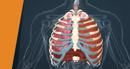 Глибоко вдихніть