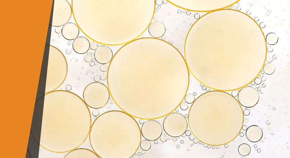 Зникнення жирів