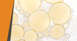 Зникнення жирів