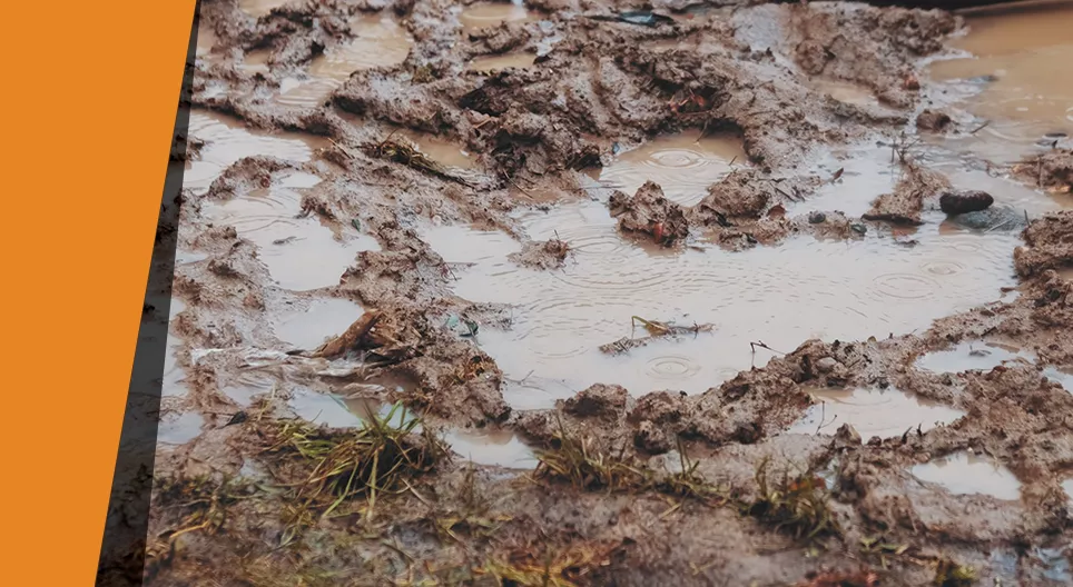 Очищувач води, зроблений своїми руками