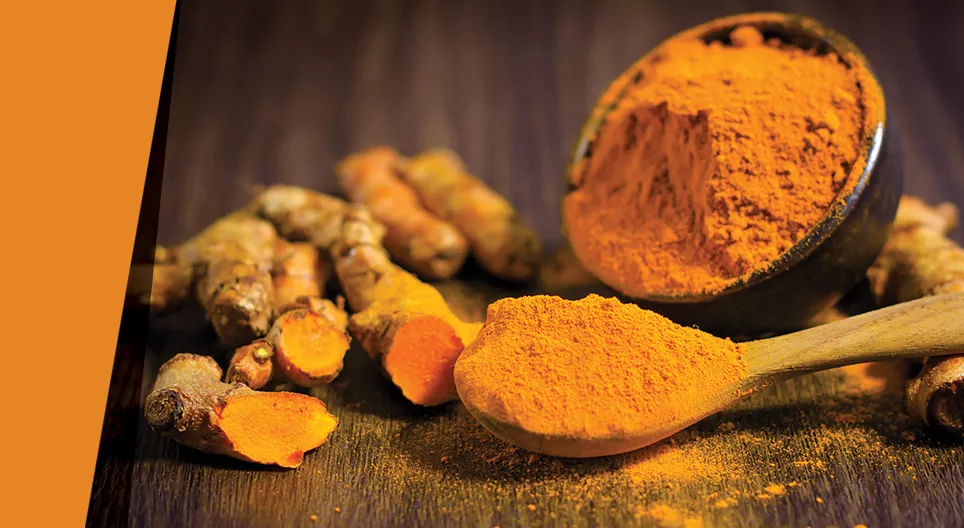 Несмілива фарба