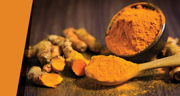 Несмілива фарба