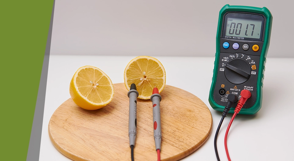 Фруктові батарейки