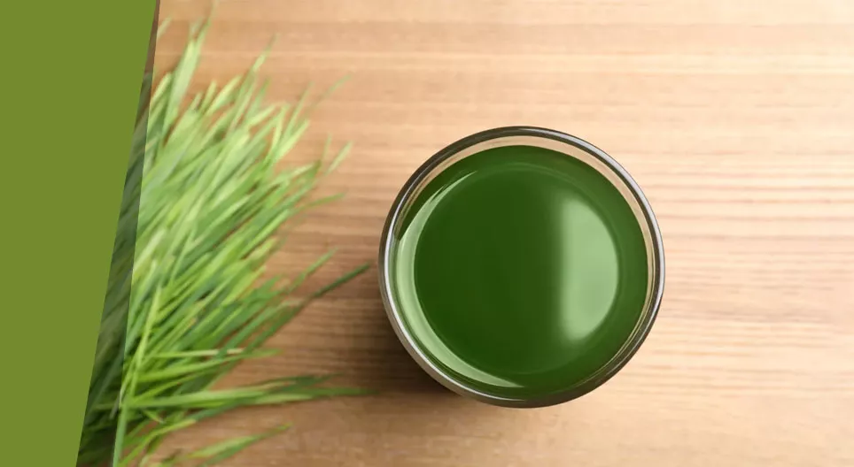 Таємниці трав'яного супу