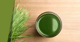 Таємниці трав'яного супу