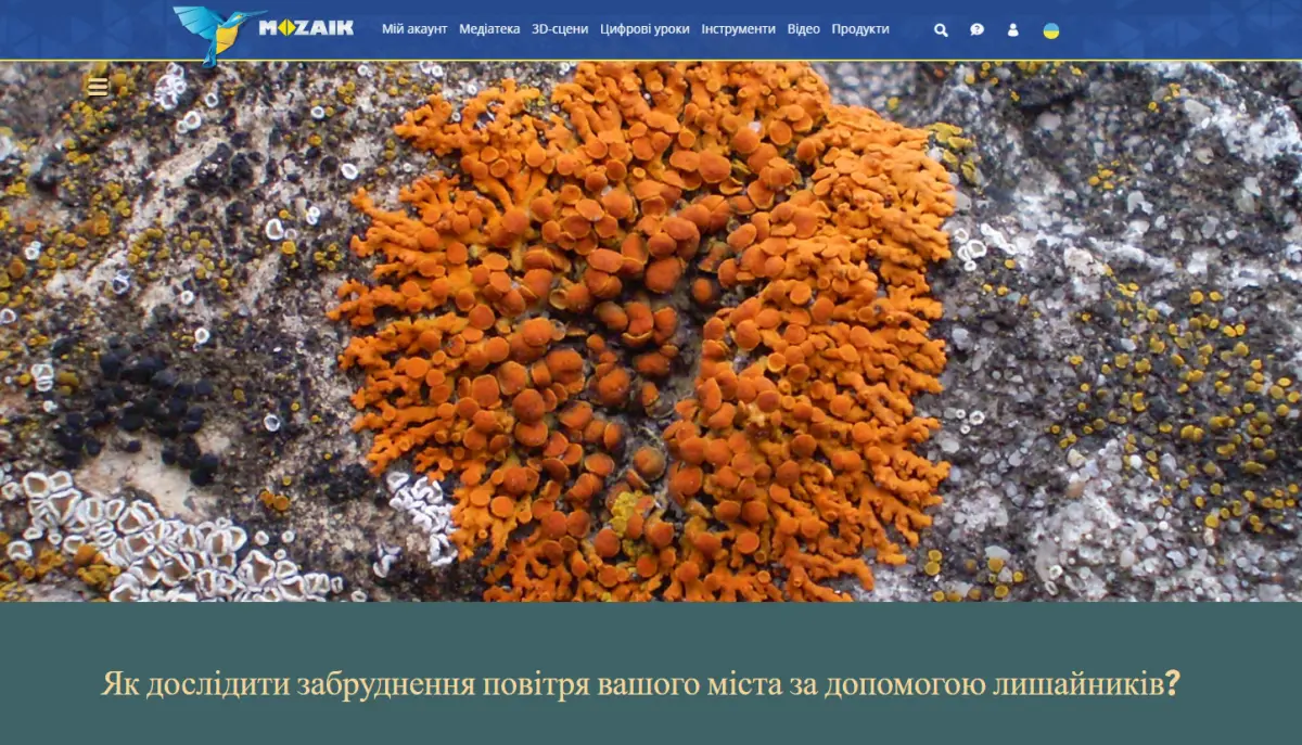 Цифрові уроки від команди EdPro про лишайники у програмі Мозабук та на сайті Мозавебу
