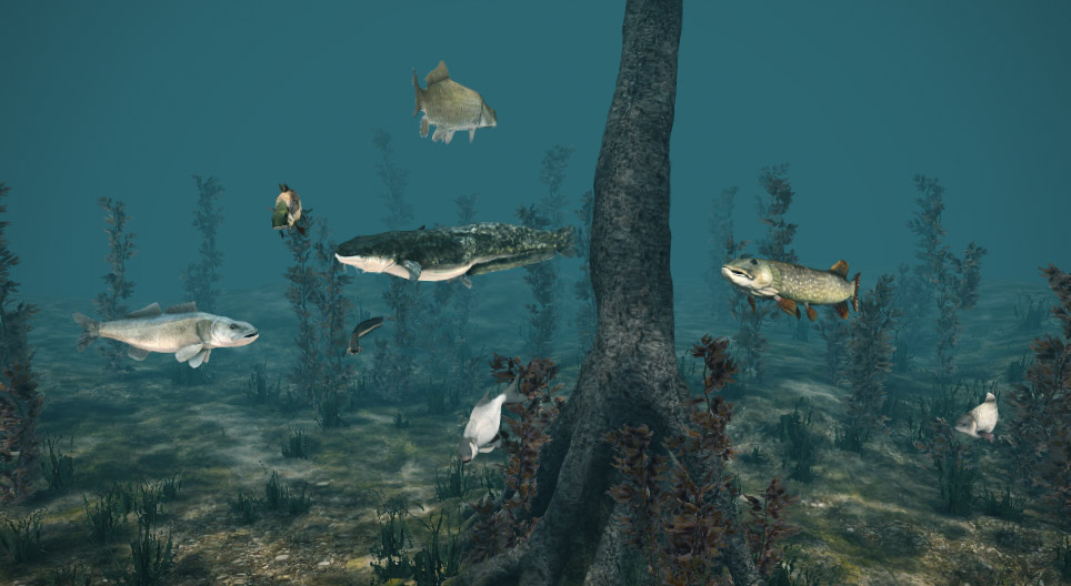 Прісноводні риби