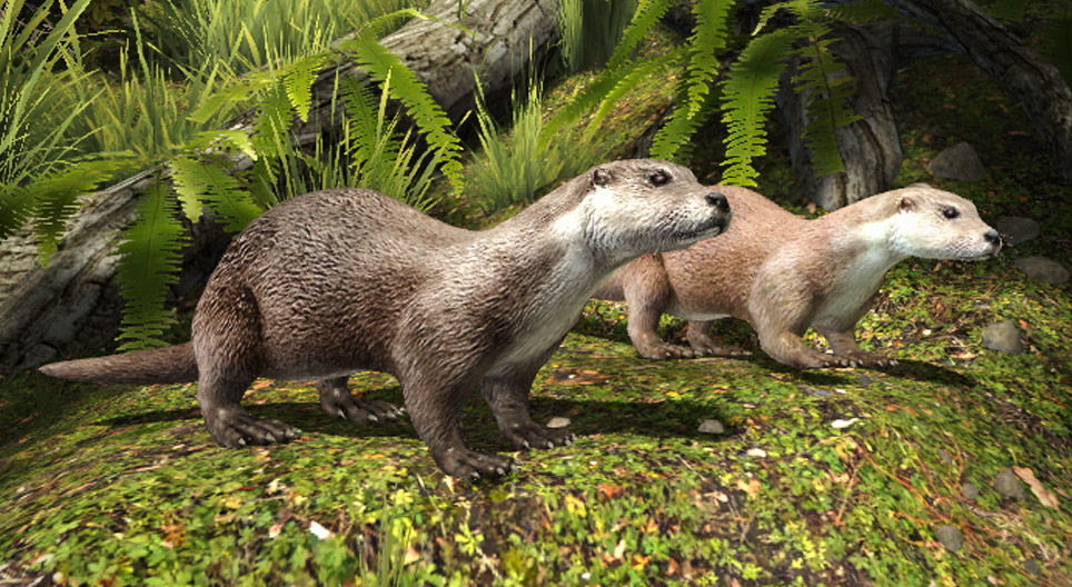 Видра звичайна