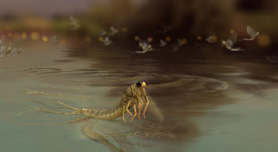 Палінгенія довгохвоста