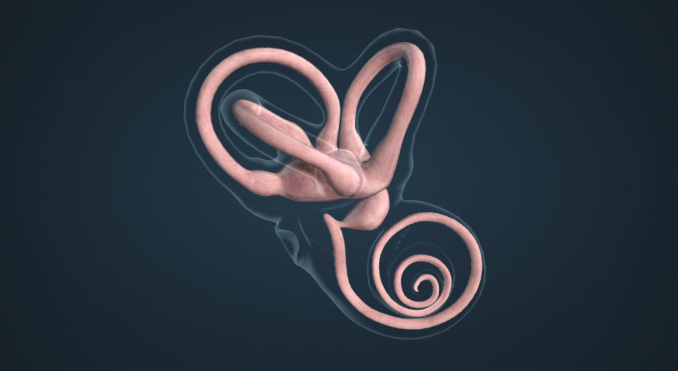 Відчуття рівноваги