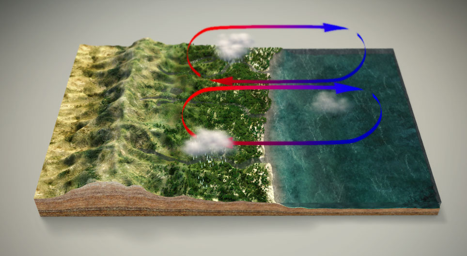 Мусонна циркуляція