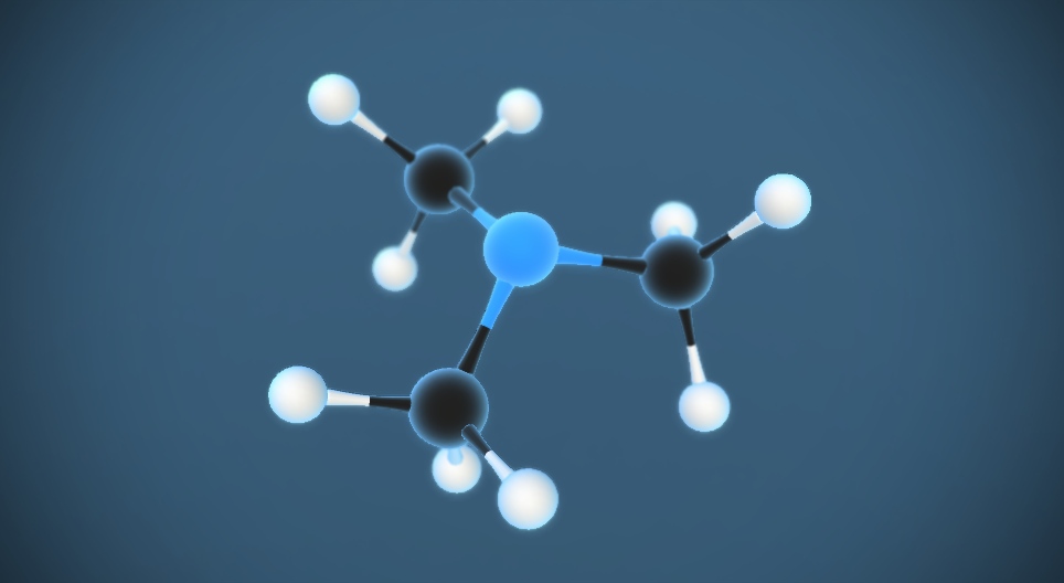 Триметиламін N(CH₃)₃